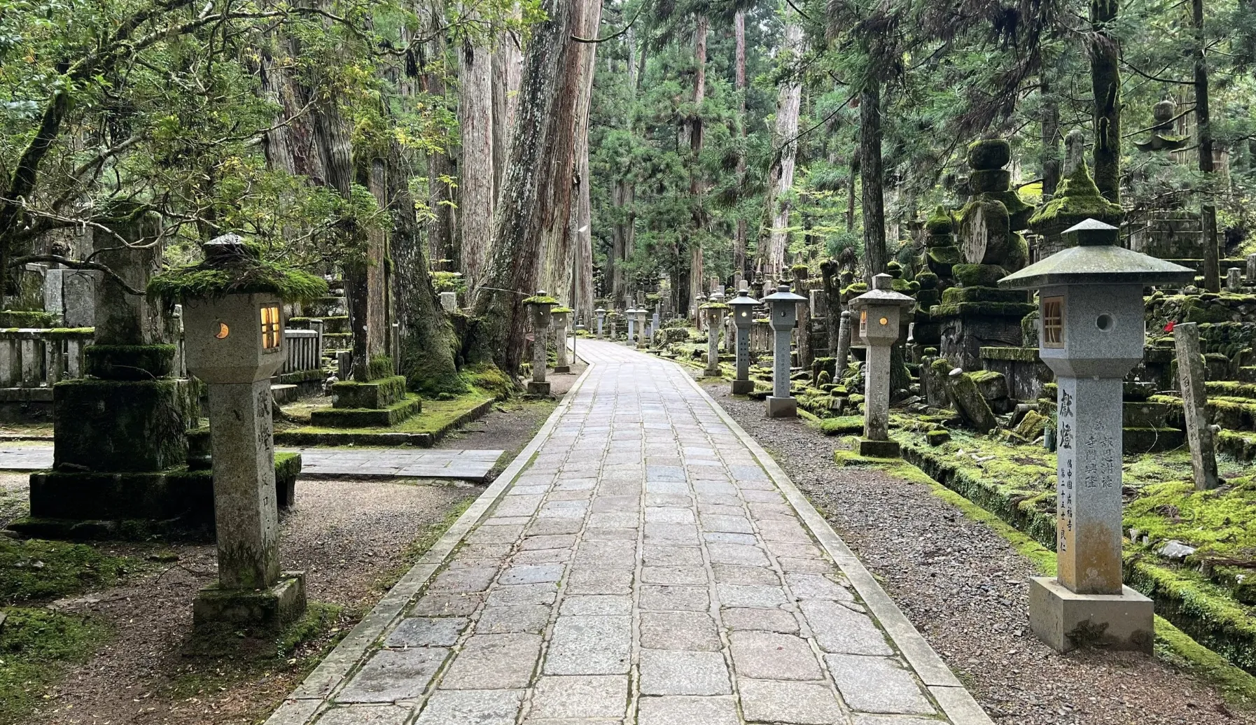 The forested path of Okunoin in Koyasan